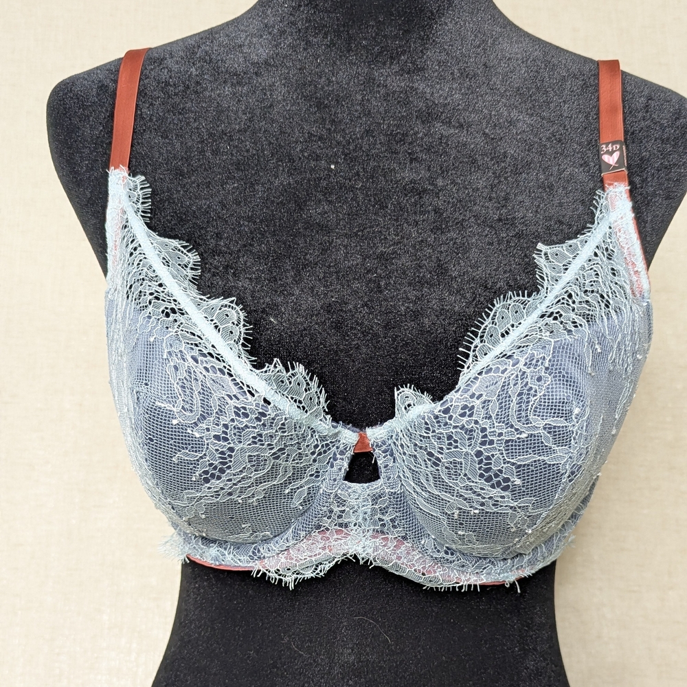 Victoria’s Secret Blue Lace Lined Plunge Bra 34D Rust Trim Chantilly Underwire
